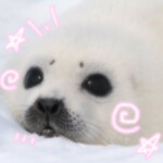 (̨̡๑´•˕•´๑)̧̢