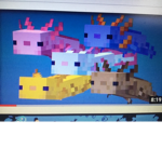 Only Axolotls Group