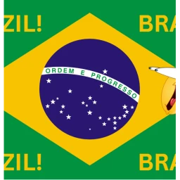 GO TO BRAZIL!!! icon