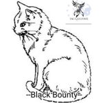 ULTIMATE BOUNTY (ITA)