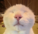 jkmjjjjjjjjjjjjjjjjjjjjjjjjjjjjjjjjjjjjjjjjjjjjjjj