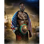 The Boxing Fan Group