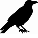 [Crow's United]