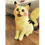 The knight cat army