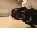 doge5