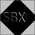 ScriptBlox, Inc