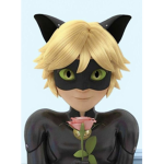 Tales of ladybug and chat noir