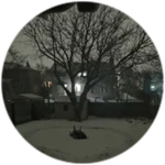 a cold night
