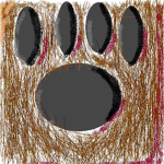 Grizzly Bears