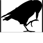 The Rabid Ravens
