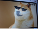 Doge clan groups
