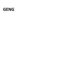 GENGfiat