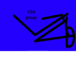 V2d group