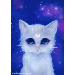 Kitty's club
