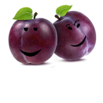 The Plum Family