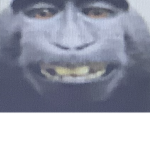 Moonkie