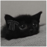 .13kzoee