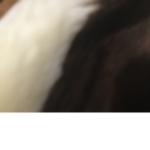 Best Roblox ok