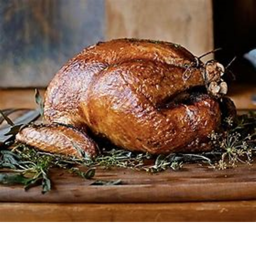 Thanksgiving Turkey