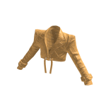 Exclusive gold jacket