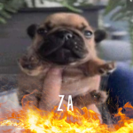 zаza