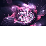 pick a flower