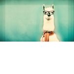 Bestie llama green