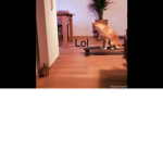 I created this late at night ;-;