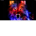 #wolf#team