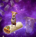 The official burritos squad