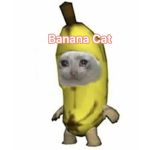 Banana cat group pls join