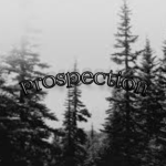 Prospection