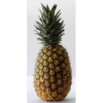 cool pineapples studio