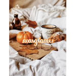 AVASxCLOSET