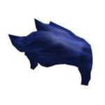 TRUE BLUE TRIBE