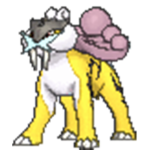 pokemon fan group best games for nintendo