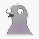 Pige0n
