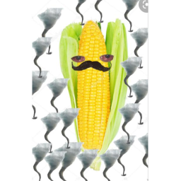 Meet Jo Cob