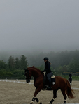 Equine’s wardrobe