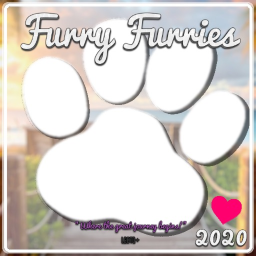 🐾  Furry Furries Hangout 🐾