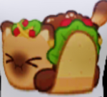 MEXICAN TACO CATS