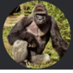 HarambeGroup