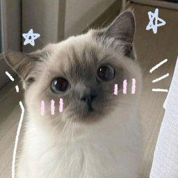 ︶ ͡ ۫ ˓ 𝜗℘ ˒ ۫ ͡ ︶