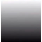 signhed