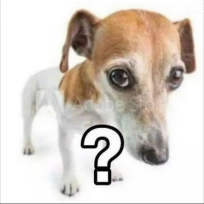 What the dog doing? Roblox decal