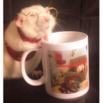 !!RATTOPIA!!