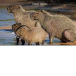 Capy games