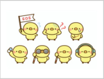 ひよこ組