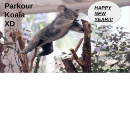 Kiki's Koala Squad's obby