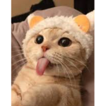 MAHONE